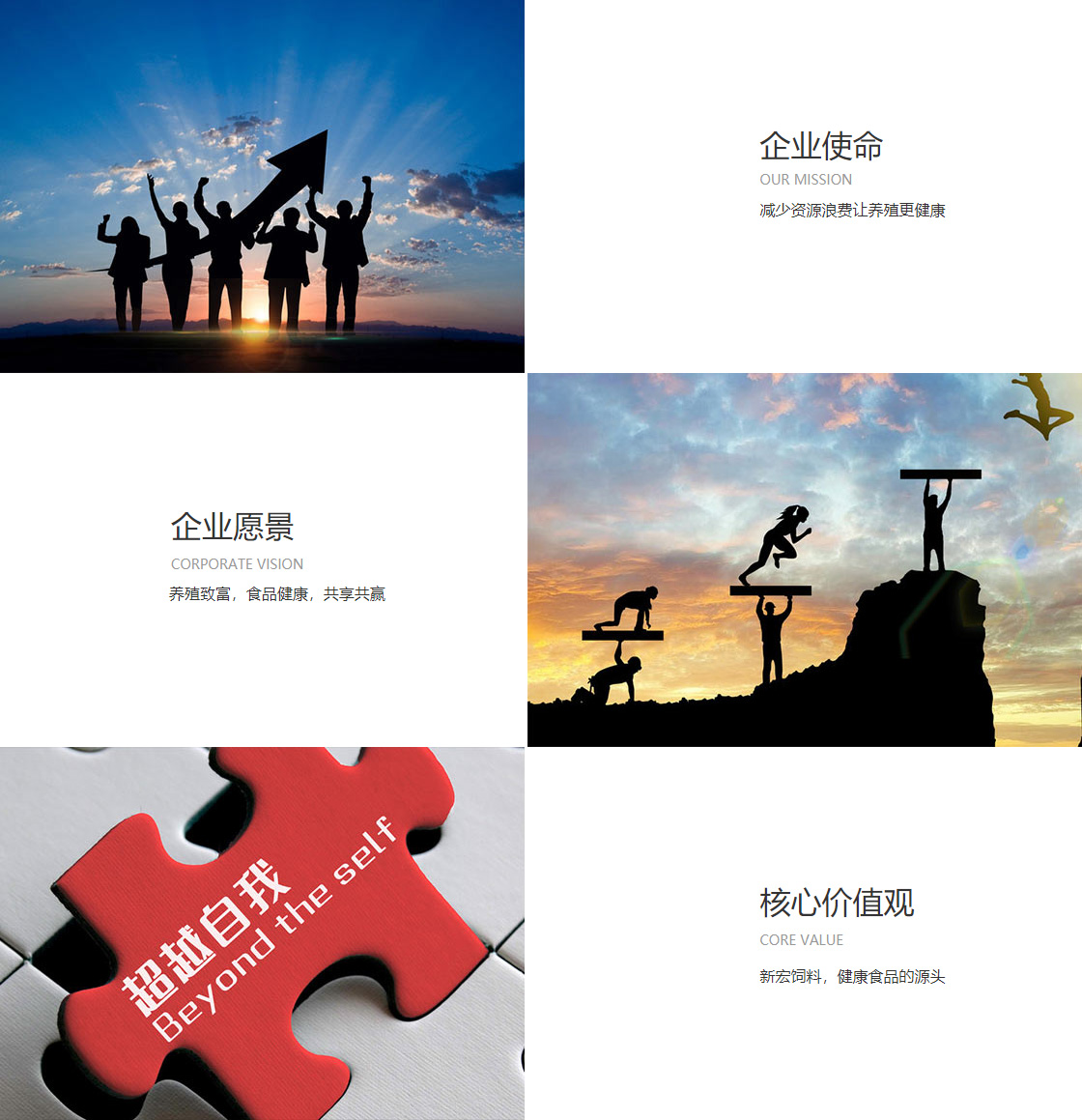 kaiyun·开云官方网站(图1)